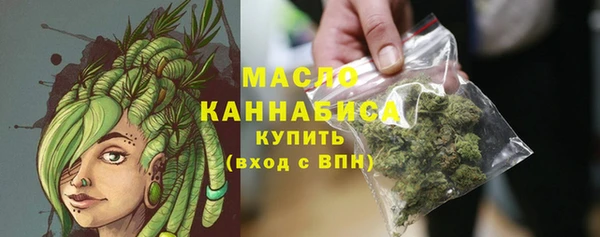 индика Волоколамск
