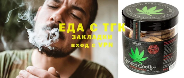 индика Волоколамск
