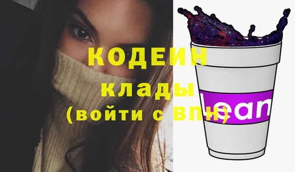 индика Волоколамск