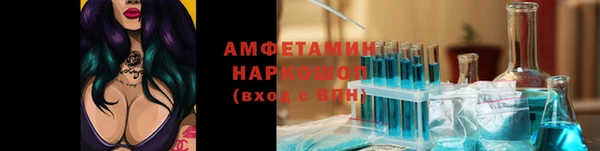 индика Волоколамск