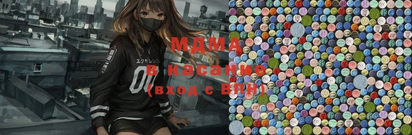 индика Волоколамск