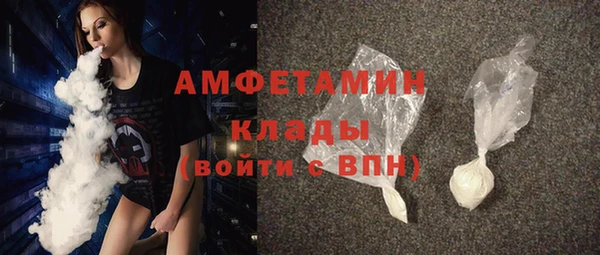 индика Волоколамск